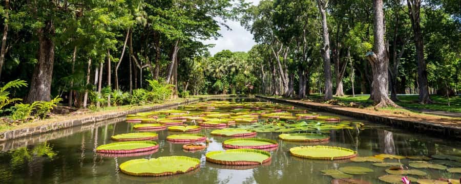 Private Full Day Tour of Port Louis and Northern - Key points before you go