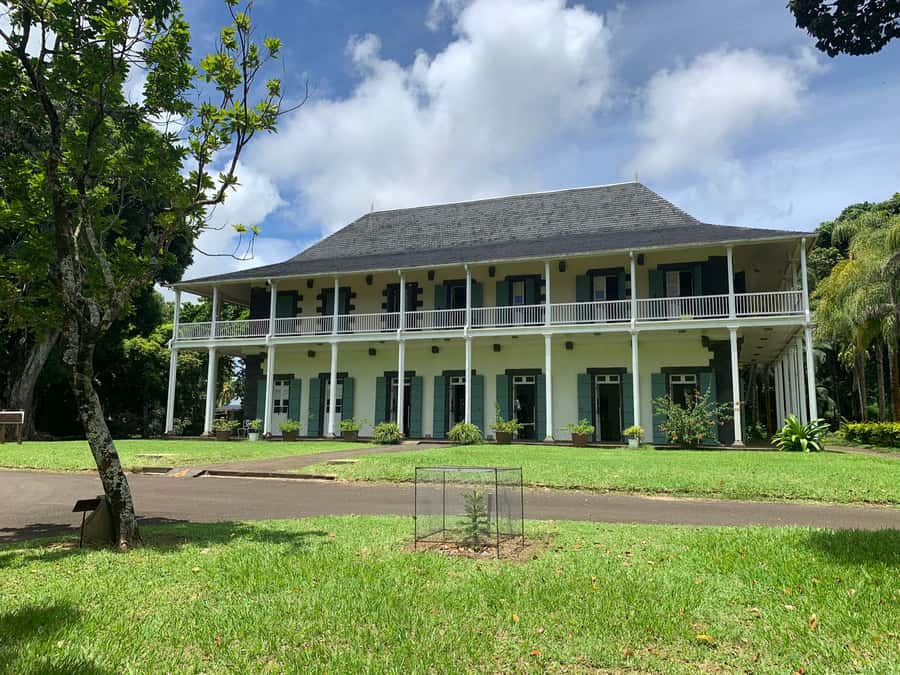 Private Full Day Tour of Port Louis and Northern - Pamplemousses Botanical Garden: plants, spice, and the Talipo timeline