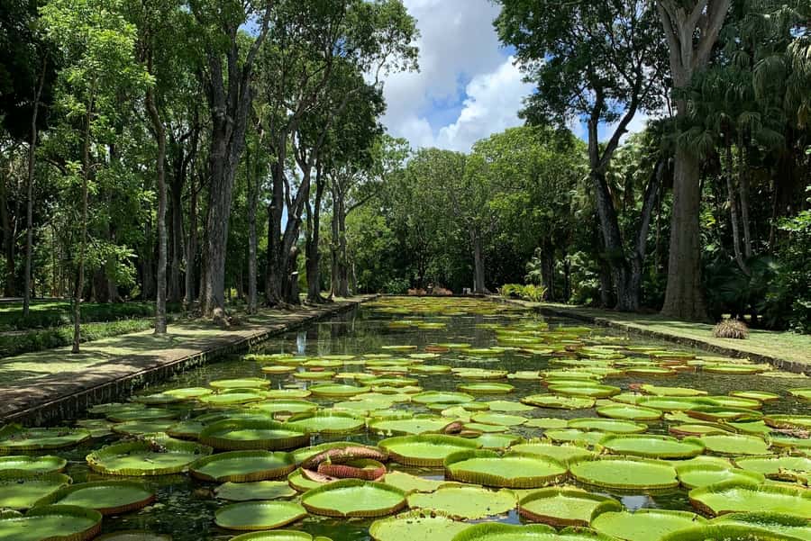 Private Full Day Tour of Port Louis and Northern - Should you book this Port Louis and Northern private tour?