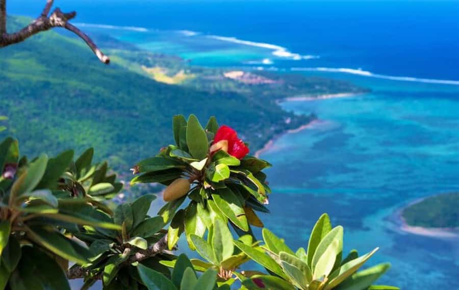 Private Hiking le Morne Mountain & Lunch at Ilot Fourneau - Key highlights you’ll actually care about