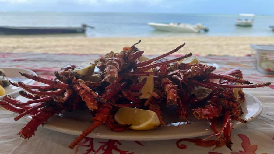 Private Île aux Bénitiers Boat: Dolphin Snorkeling & Lobster - Price and value: is $738 per group up to 4 worth it?