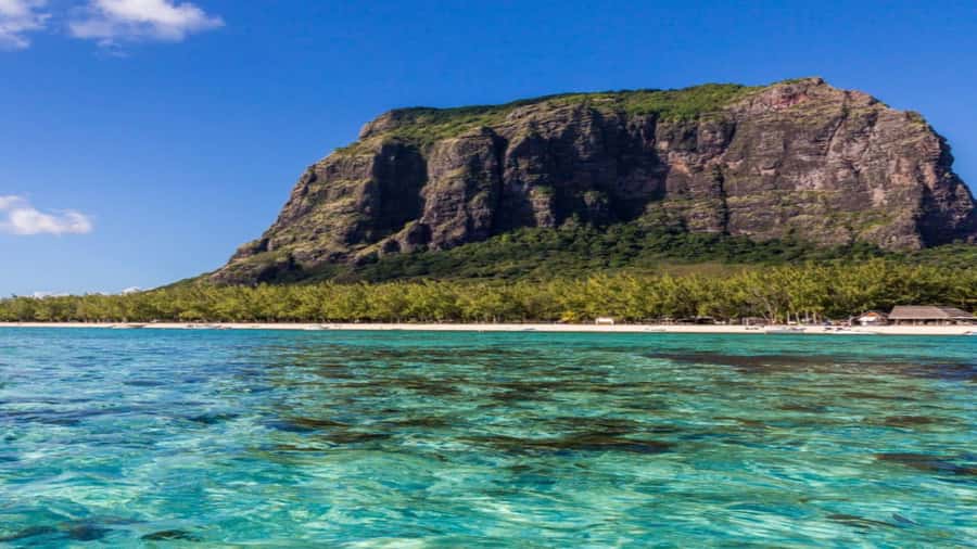 Private Île aux Bénitiers Boat: Dolphin Snorkeling & Lobster - Tips to make your day smoother (and better photos)
