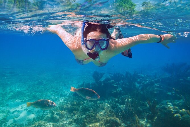 Private speed boat to Ile aux Cerfs full-day Incl: Lunch & Transfer - The 4-hour Ile aux Cerfs block: beach, lagoon swimming, and snorkeling breaks