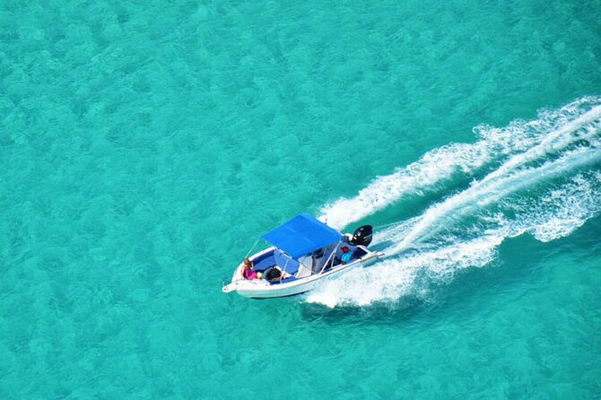 Private Speed Boat Tour and Dolphin Encounter at Ile aux Benitier - Tamarin Bay Dolphin Encounter: How the Swim Works