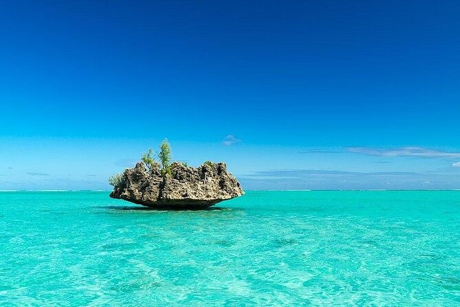 Private Speed Boat Tour and Dolphin Encounter at Ile aux Benitier - Ile aux Benitiers: Lunch on the Island and Lagoon Time