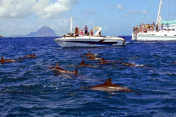 Private Speed Boat Tour and Dolphin Encounter at Ile aux Benitier - Private Tour Logistics: What It Means for Your Day