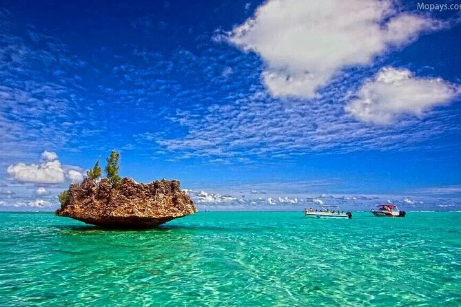 Private Speed Boat Tour and Dolphin Encounter at Ile aux Benitier - Price and Value: Is $312.02 Per Person Fair?