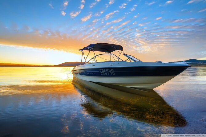 Private Speed Boat Tour and Dolphin Encounter at Ile aux Benitier - Rules, Respect, and Real Expectations in Dolphin Water
