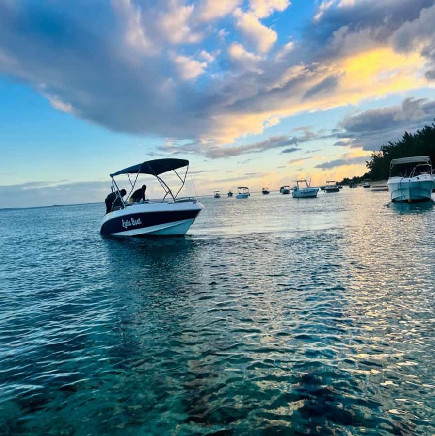 Private :Whales and dolphins watching/Swimming with dolphins - Who should book Lydia Boat Mauritius, and who should skip it
