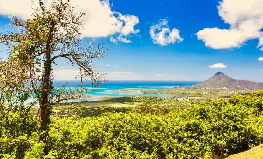 South of Mauritius : Full day Private with lunch & Chamarel - Private Driver and A/C Comfort: The Real Quality Upgrade