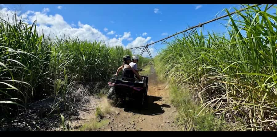 South of Mauritius: Quad Bike Tour - Price and Value: Is $129 Worth It?