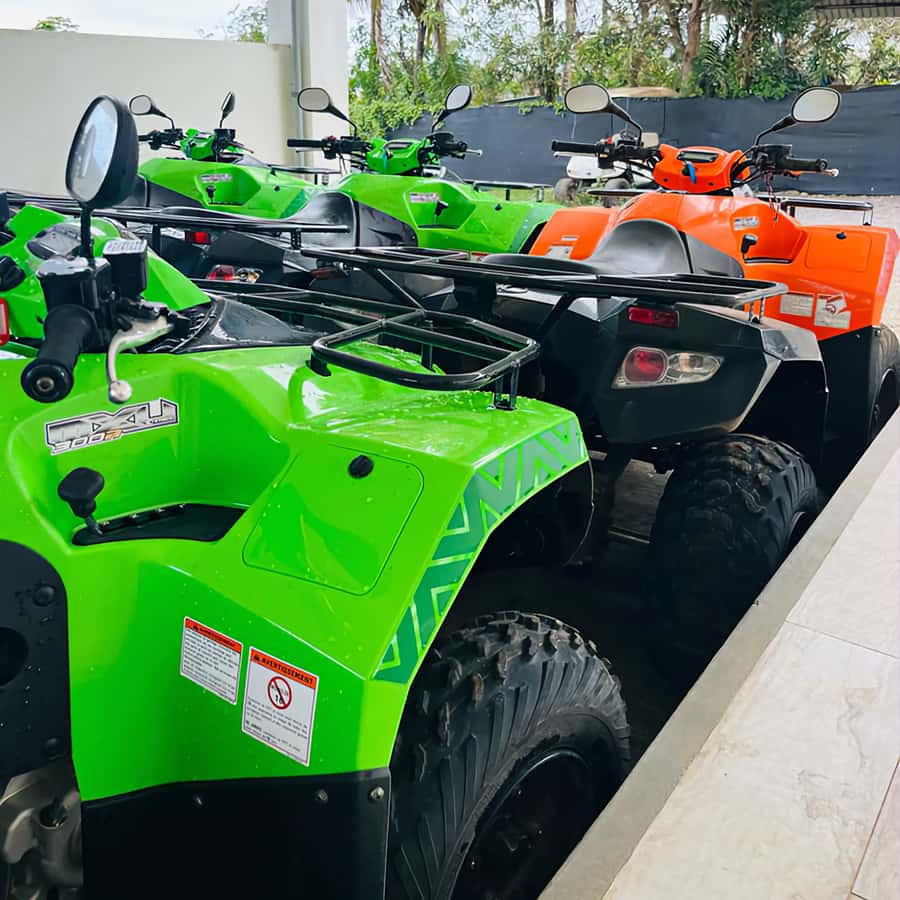 South Of Mauritius Quadbike and Snorkeling Blue Bay - Who should book this tour, and who should skip it