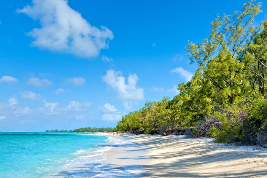 Speed boat to Ile aux Cerfs: Full day incl Lunch & Transfer - The wet and wild return cruise, expect splashes