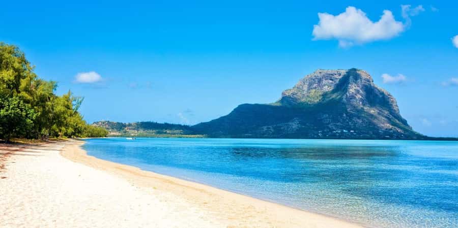 Speedboat to Ile aux Benitier: Dolphin Encounter & Lunch - Key things to know before you go