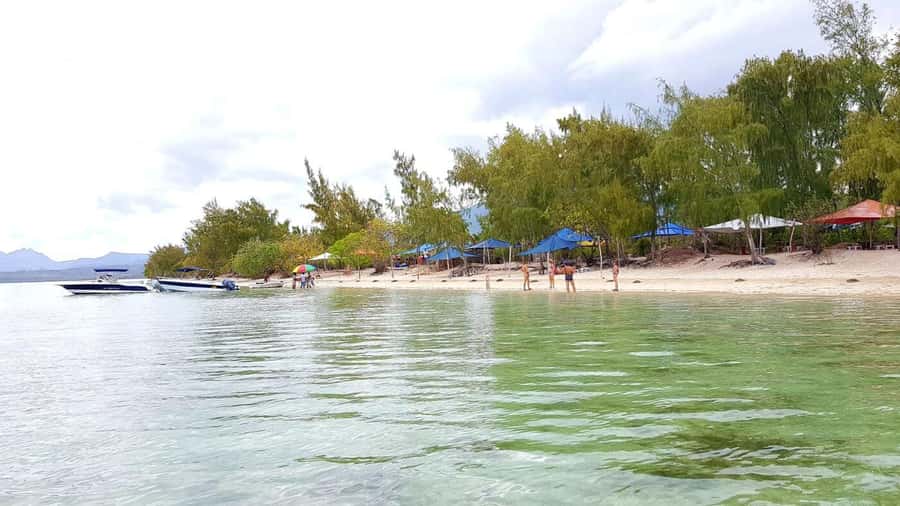 Speedboat to Ile aux Benitier: Dolphin Encounter & Lunch - Speedboat, dolphins, Crystal Rock, and Île aux Bénitiers in one 6-hour plan