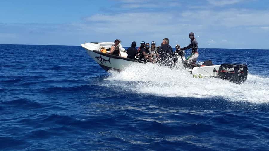Tamarin Bay: Beginners Scuba Diving Experience - Key highlights to know before you go