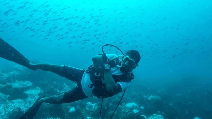Tamarin Bay: Beginners Scuba Diving Experience - Pool practice first, so underwater breathing feels possible