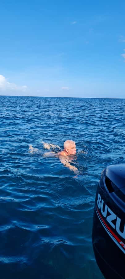 Tamarin: Dolphin Snorkel, CrystalRock, ile o Benitiers Lunch - What the Tour Includes, and Where Value Really Comes From