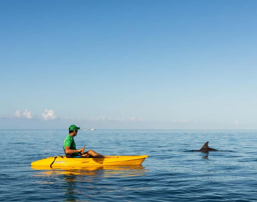 Tamarin: Guided Kayak Tour with Dolphins - Kayak Dolphins in Tamarin Bay, Here’s What Really Matters