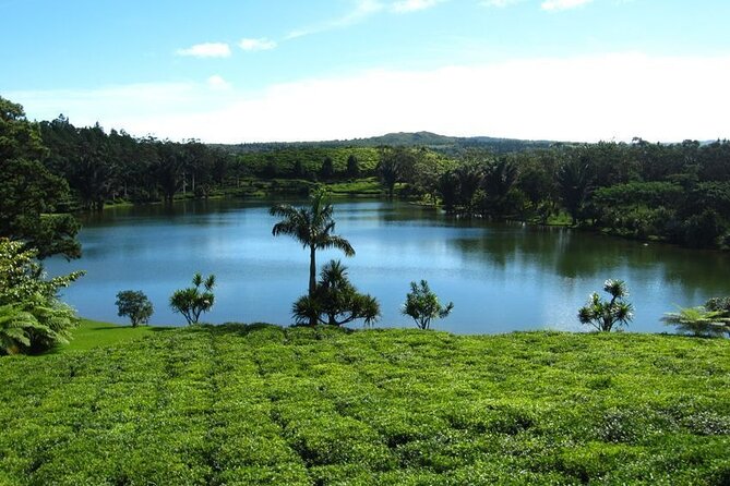 Tea and Culture Route - A private route that connects water, faith, and the island’s taste stops