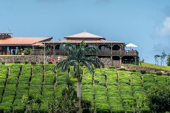 Tea Experience in the Exotic South of Mauritius Private tour. - Takamaka Boutique Winery: lychee wine tasting fees are extra