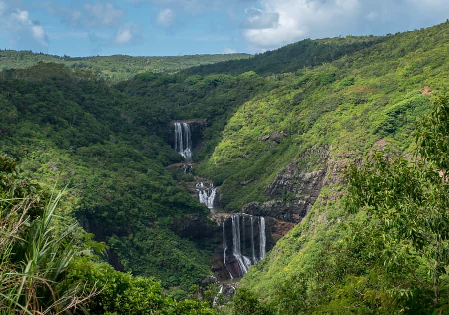 Tea Route: Lake, Forest, Tea Plantation & 3 Course Lunch - What this Mauritius tea route really feels like (8 hours, hotel pickup, private group)