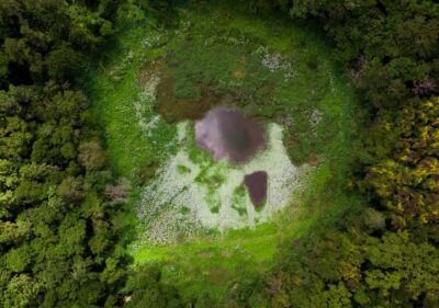 Tea Route: Lake, Forest, Tea Plantation & 3 Course Lunch