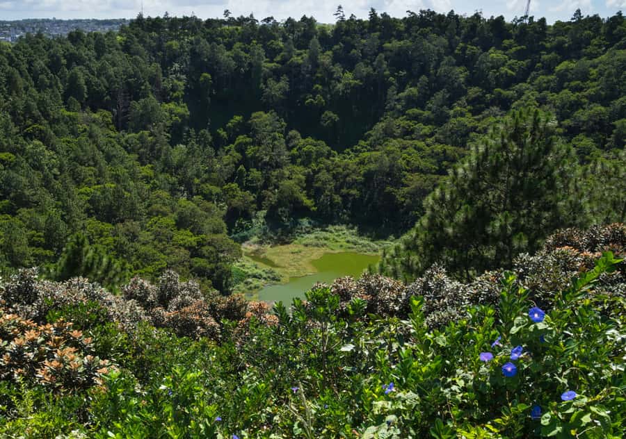 Tea Route: Lake, Forest, Tea Plantation & 3 Course Lunch - Sofie Nature Walk: the calm counterweight to volcano and temple stops