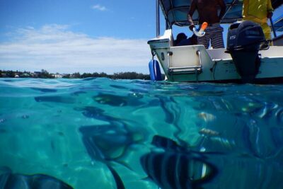 The Adventure East of Mauritius: 3-Watersport Activities & Blue-Bay Marine Park