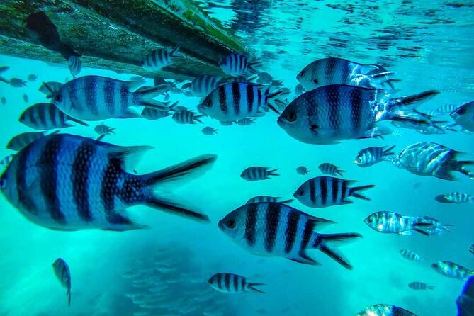 The Adventure East of Mauritius: 3-Watersport Activities & Blue-Bay Marine Park - Frederick Hendrick Museum: Dutch and French colonial-era remnants