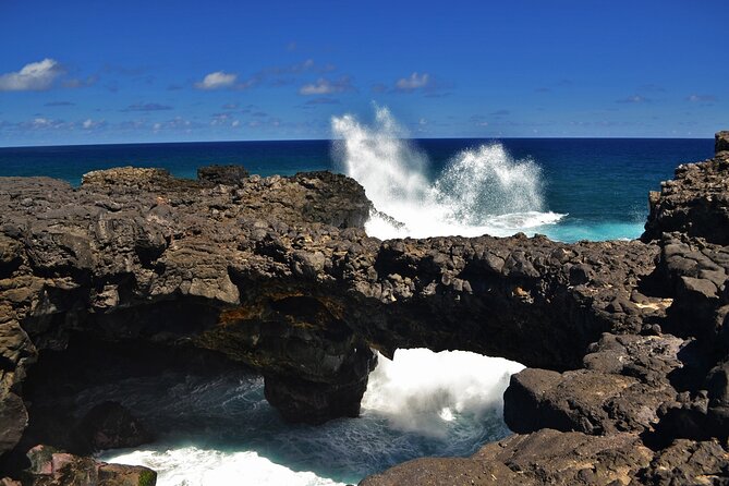 The East of Mauritius: Full-day incl visit to Ile aux Aigrettes & Lunch - Mahebourg National History Museum and the Naval Museum connection