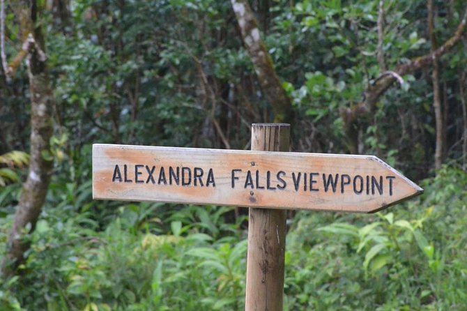 The Gorgeous South of Mauritius: Full-day tour incl Tea Factory & Crocodile park - Pickup, private transport, and the rhythm of the day