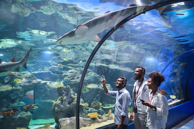 Ticket to the largest Oceanarium of the Mascarene Islands - Inside the aquarium: 45 habitats, 2,000 m3 of water, and 3,500 specimens