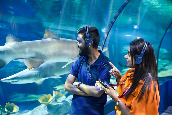 Ticket to the largest Oceanarium of the Mascarene Islands - What you’ll learn about ocean conservation during the walk