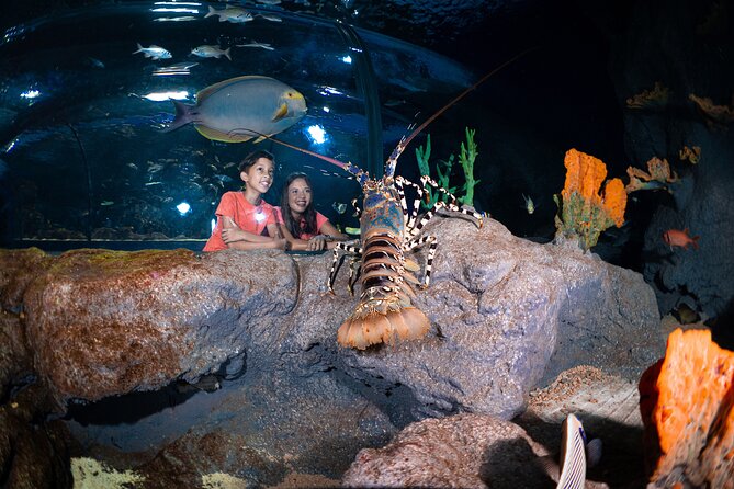 Ticket to the largest Oceanarium of the Mascarene Islands - A simple itinerary that fits real schedules: what happens on your visit