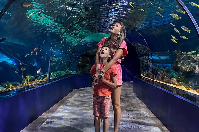 Ticket to the largest Oceanarium of the Mascarene Islands - Family-friendly, and easy to handle with kids