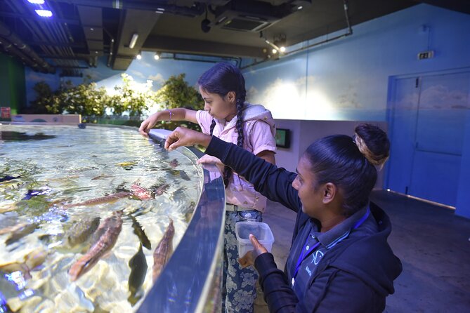 Ticket to the largest Oceanarium of the Mascarene Islands - Price and value check: is $33.50 worth Odysseo Oceanarium Mauritius?