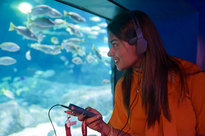 Ticket to the largest Oceanarium of the Mascarene Islands - When to go, and how weather affects your plan