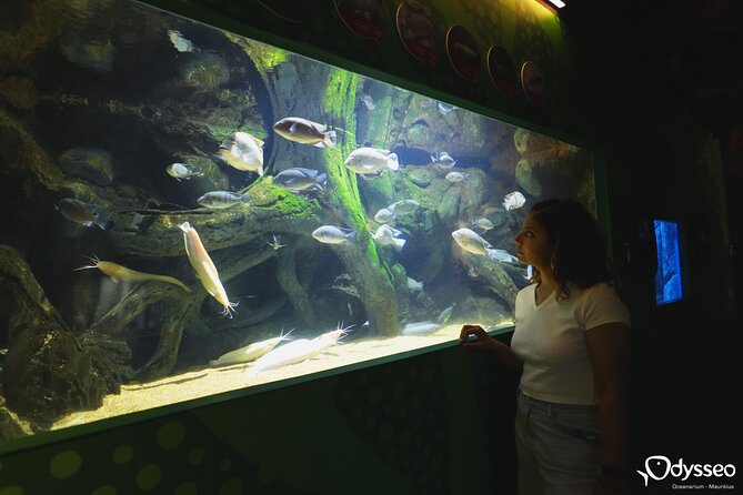 Ticket to the largest Oceanarium of the Mascarene Islands - Should you book this ticket?