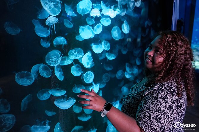 Ticket to the largest Oceanarium of the Mascarene Islands - Your ticket experience: mobile entry and how to save time in Port Louis