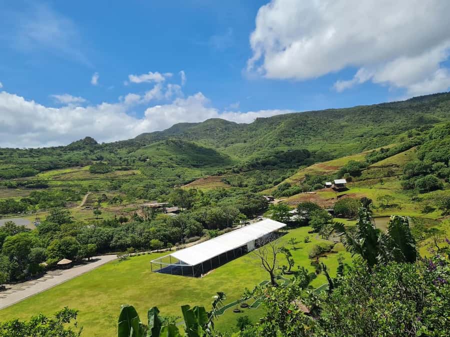 Try our Ultimate thrilling bicycle-zip-lining activity! - Price and value: what $225 gets you (and what it might not)