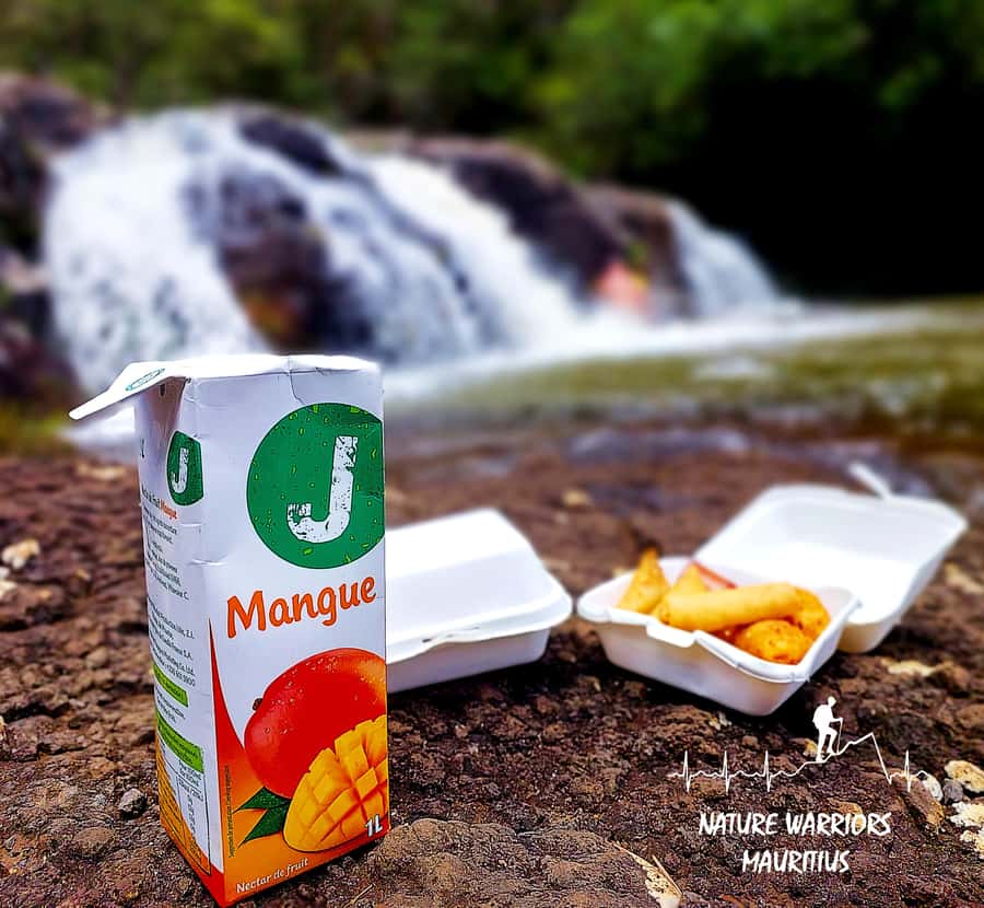 Vacoas-Phoenix: Private Hiking Tour to Tamarind Falls - Four Waterfalls and Natural Pools: Swim, Rest, and the Fish Spa Moment