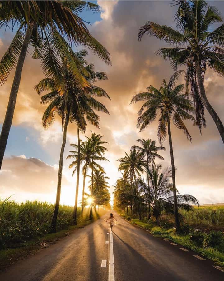 Visit Entire Mauritius In A Day - Coastal Drive Time: Beaches Where You Can Swim and Stroll