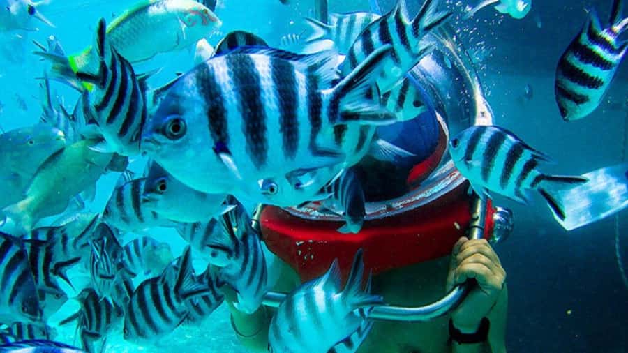 Walking under the sea in Mauritius with transfer - Key things I’d circle before you book