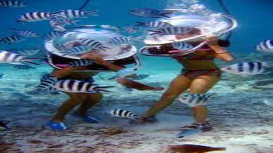 Walking under the sea in Mauritius with transfer - Languages, communication, and what you should say during the briefing