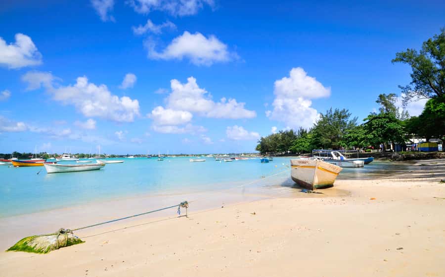 West: Swim wz dolphins, Crystal Rock, Lunch Benitiers island - The Creole-Style BBQ Lunch on the Beach: Simple, Not Hotel-Style