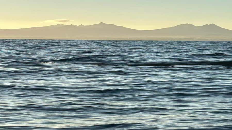 Whale & Dolphins Swimming - Private Speedboat Exclusive Tour - Should You Book This Whale and Dolphins Swimming Tour?