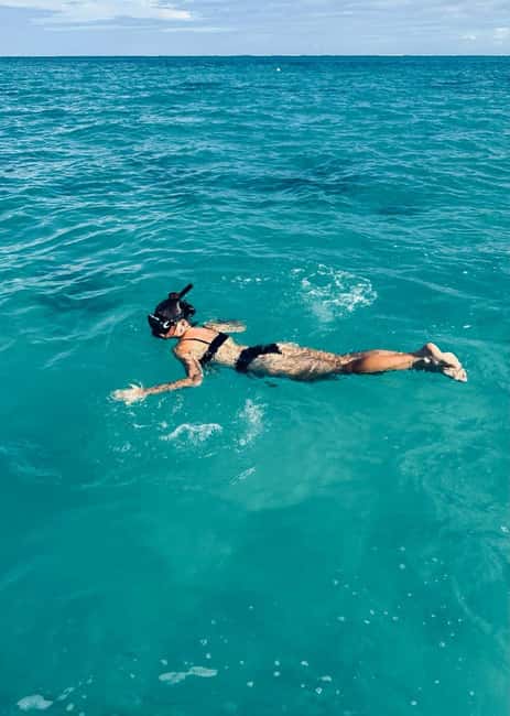 Wild Dolphin Encounter & Snorkeling Adventure - Mauritius. - Key Things to Know Before You Go