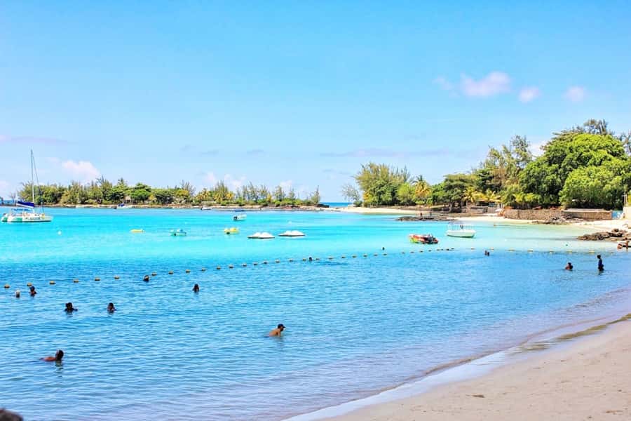 Wild Dolphin Swim & 4 Northern Beaches with Transportation - Trou aux Biches: Street Food, Snorkel Spots, and Lunch Energy