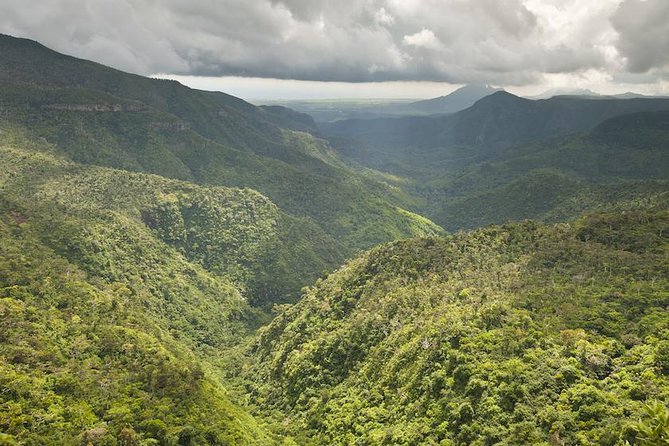 Wild South: Full-Day tour incl Rhumerie St Aubin, Bois cheri Tea factory & Lunch - Bois Chéri Tea Factory and Tea Museum: What Tea Production Looks Like in Real Time